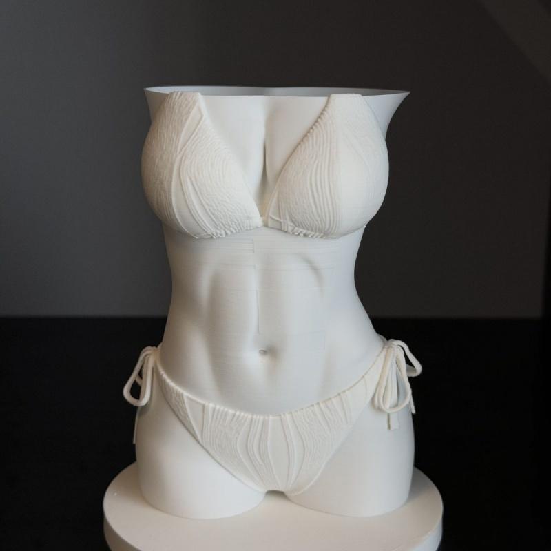 비키니 바디 펜 홀더 3D 프린팅 재미있는 질감 여성  - 3D Printing Pen For Adults 리뷰 및 가격