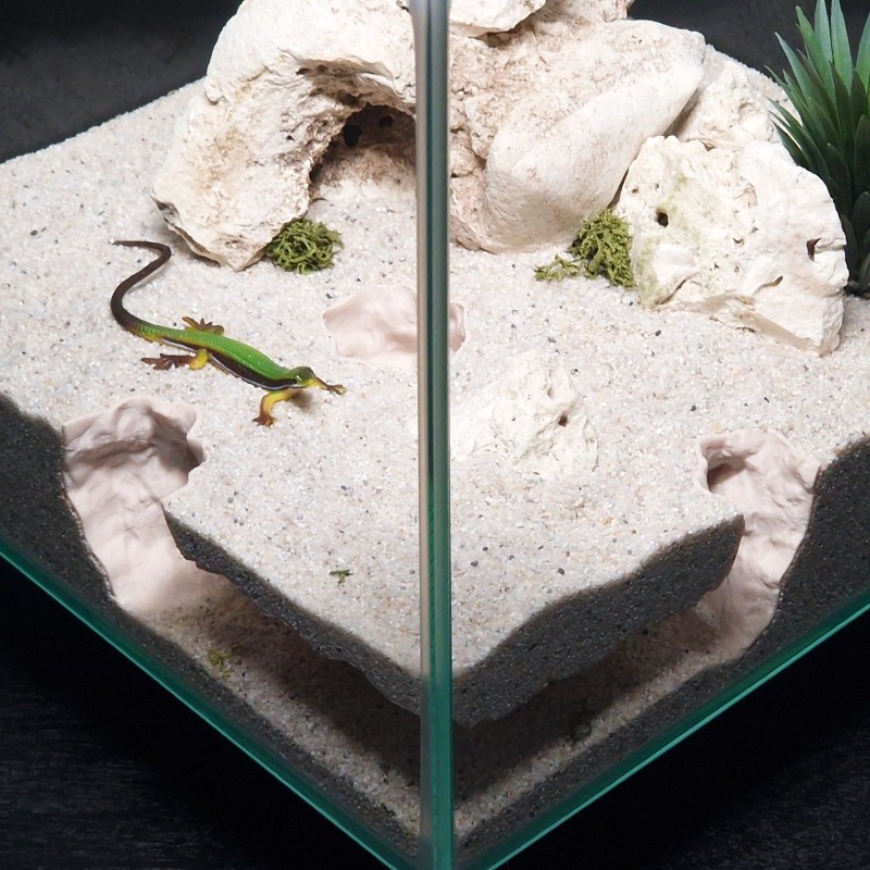 3D 프린팅 어항 터널 쉼터 수족관 장식 소형 물고기, - 3D Printing Lizard 리뷰 및 가격
